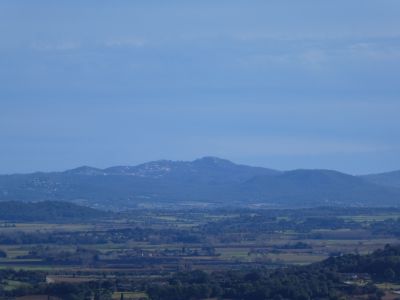 Vue Son Ric