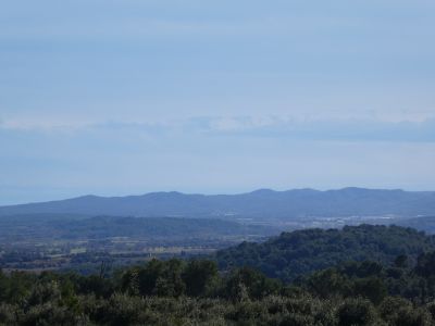 Vue Vidal