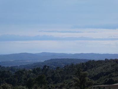 Vue Cargol