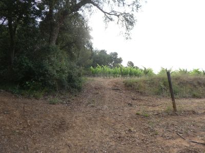 Croisement après Subà