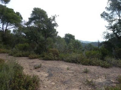 Croisement après Subà 2