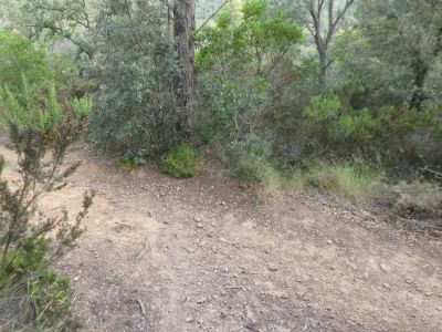 Croisement après Arbúcies