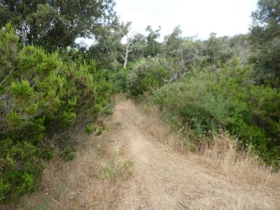 Croisement après Arbúcies 2