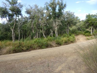 Croisement après Arbúcies 3