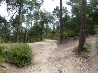 Croisement après Ribot