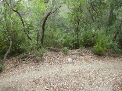 Croisement après Llobinar