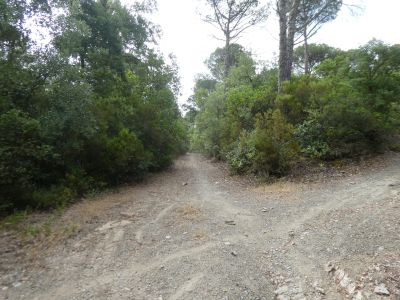 Croisement accès Montagut