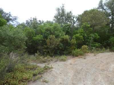 Croisement accès Montagut 5