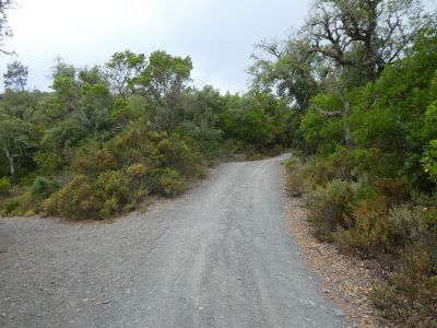 Croisement accès Montagut 7