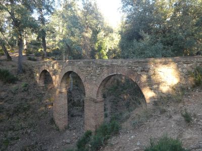 Puig d'en Carreres