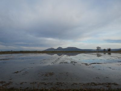 Vue Montgrí 2