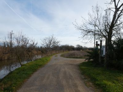Croisement Figuera