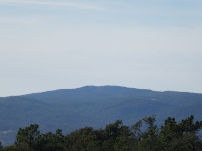 Vue Cargol