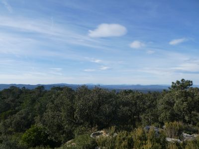 Vue Gironès