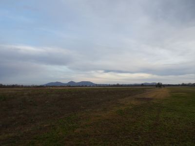 Vue Montgrí