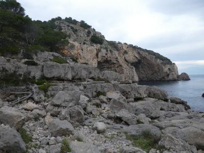 Port Falaguer