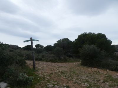 Croisement après Falaguer 2