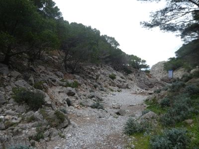 Cala Pedrosa