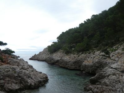 Vue Pedrosa