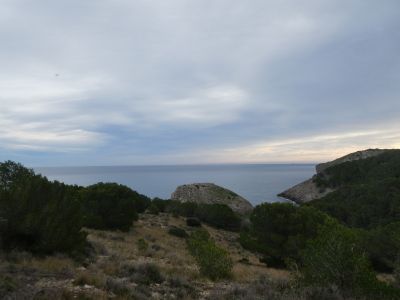 Vue Illa Pedrosa