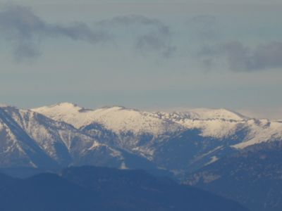 Vue Escolà
