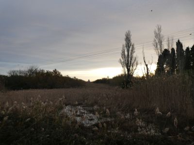 Vue Ter Vell