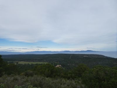 Vue Albera