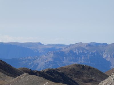 Vue Cap Gallina Pelada