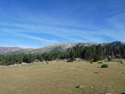 Vue Perdius Blanques