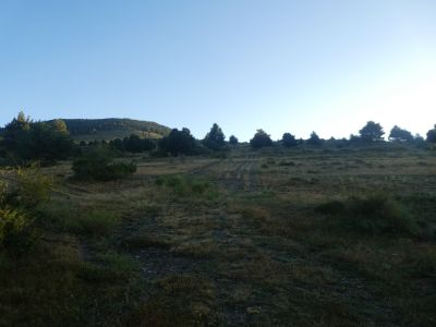 Croisement après Posa 2