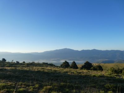 Vue Tosa