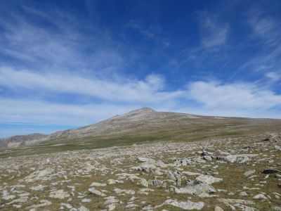 Vue Puigpedrós