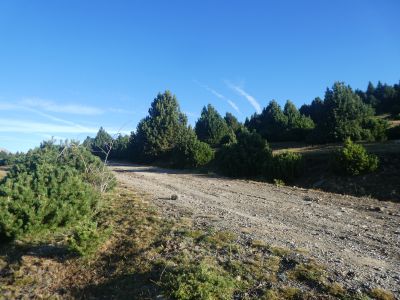 Croisement piste Agulla