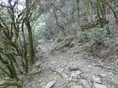 Croisement montée Terres 2