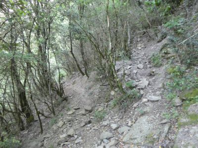 Croisement montée Terres 3