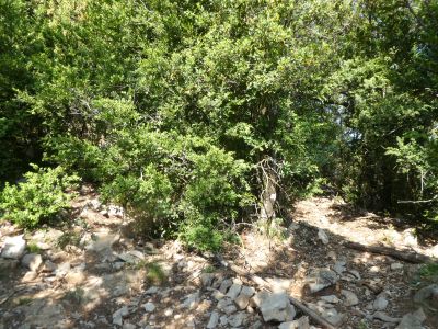 Croisement points rouges