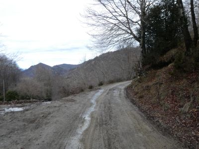 Coll Ciuret