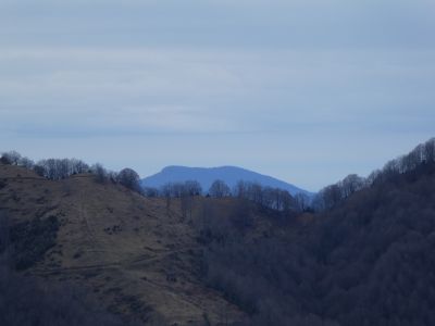 Vue Gregori