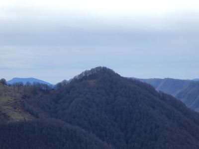Vue Tosell