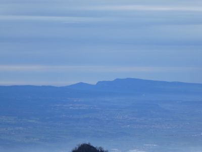 Vue Puiggraciós