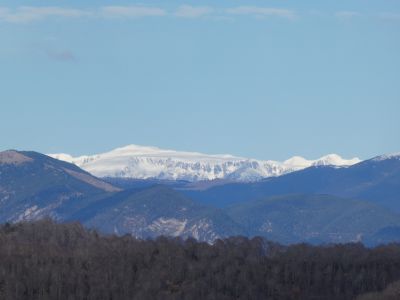 Vue Puigpedrós