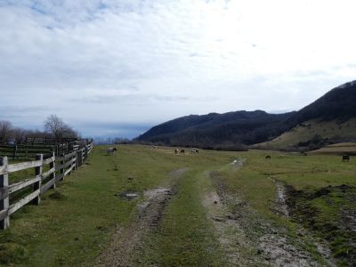 Vue Baumasserada