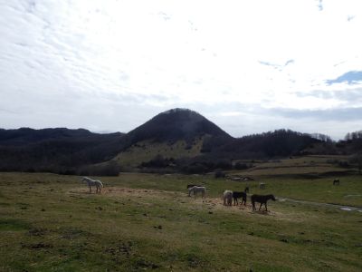Vue Miralles