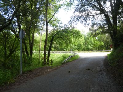 Croisement après Dosqüers