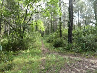 Croisement montée sommet 1