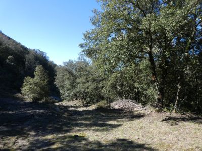 Vue Vallée Ter 4