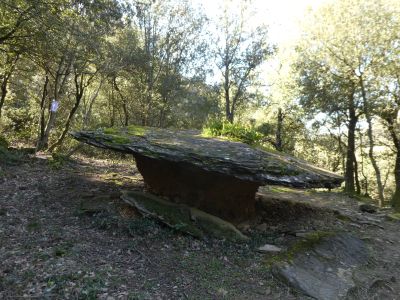 Vue Barret