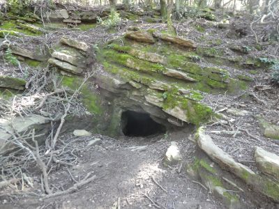 Vue Montgrí