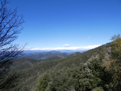 Vue Ripollès