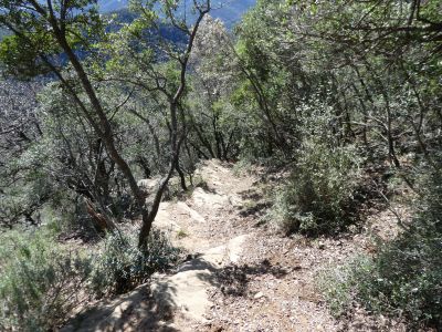 Vue descente Mascaró